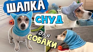 Шапка для собаки своими руками. КЛАССИЧЕСКИЙ СНУД и СНУД с УШКАМИ. Выкройка шапки для собаки