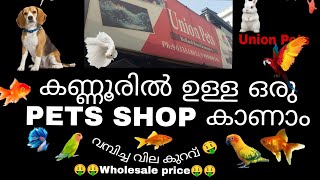 കണ്ണൂർ ഉള്ള ഒരു PETS SHOP കാണാം | UNION PETS | വില കുറവ് | WHOLESALE PRICE