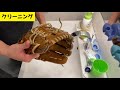 20年前のミズノプロを復活させる【前編】