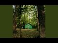 Aisling Of The Shore (纯享空灵版)