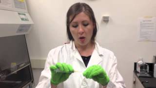 Safe Sharps Handling in the Laboratory (Live)