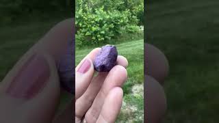 All About Purpurite and Its Benefits