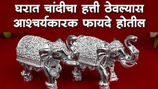 Silver Elephant and Vastu: जर चांदीचा हत्ती घरात ठेवला तर तुम्हाला आश्चर्यकारक फायदे मिळतील