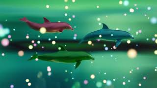 Bring Your Dolphin - The Chap