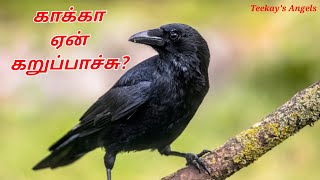 காக்கா ஏன் கறுப்பாச்சு | Tamil story For Children | Story In Tamil | crowstory |kidsStory | சிறுகதை