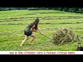 Insane Farming Machinery: How Hay is Raked in Different Countries!