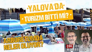 YALOVA'YA NEDEN TURİST GELSİN? PEHLİVAN, ARBORETUM İÇİN NEDEN DAVA AÇTI (Çok Ciddi Muhabbetler)