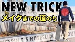 Rough Cut: Japanese Skater Leo Takeishi - Big Spin Nose Slide Flip Out