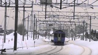 コレって旭山動物園号？ 【This is Asahiyama Zoo train？】