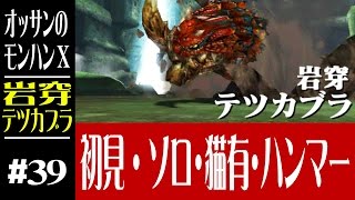 【モンハンX】オッサンのモンスターハンターX#39 岩穿テツカブラ【3DS】【MONSTER HUNTER X】 【MHX】【ソロ】