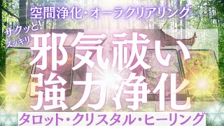 【✨邪気祓い・現状打破・強力浄化✨】空間浄化、生霊、サイキックアタックにも効果あり♪滝にうたれたクリスタルの浄化力が凄かった！まずは気持ちを切り替えるタロット・クリスタル・リーディング（占い🔮）