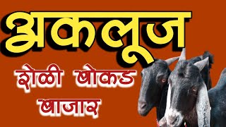 AKLUJ BAKRA BAZAR   / SHELI BAZAR / अकलूज शेळी बोकड बाजार /