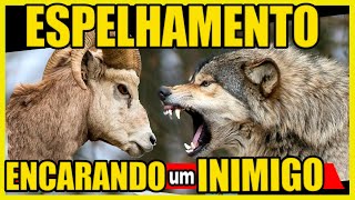 Não dê espaço para o inimigo! Espelhamento.