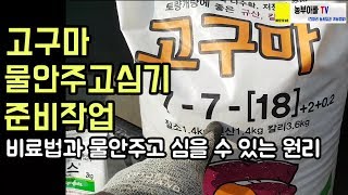 고구마 물안주고심는법, 준비사항