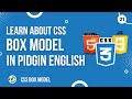 Learn How CSS Box Model Works in HTML [Pidgin English]