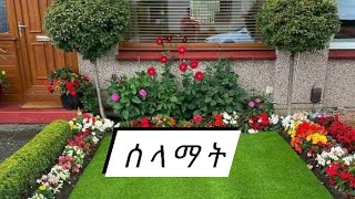 Bsrat Haylay  is liveሰላማት