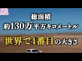 【uma】実在確定の” モンゴリアンデスワーム”超凶暴な巨大umaの謎に迫る