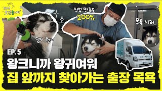 목욕만 5시간🐶🛁 공무원 퇴사 후 1톤 트럭으로 전국을 누비는 대형견 출장 목욕 트럭 고수의 하루🚚 ㅣ 다녀오겠숨니다👋 ep.05