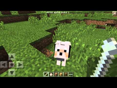 HOW TO TAME A WOLF! - Minecraft Pocket Edition HOW TO TAME A WOLF! - Minecraft Pocket Edition