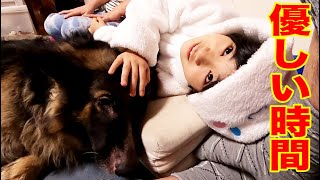 大型犬・優しい時間・シェパードマック・孫娘のひととき【VLOG】