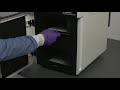 amersham™ imagequant 800 session 4 placing chemiluminescent blots