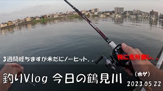 シーバス釣りVlog 今日の鶴見川 2023年5月22日（ホゲ）3週間経ちましたがいまだにノーキャッチ。。