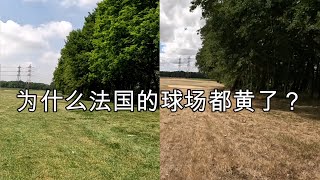 为什么法国的球场都黄了