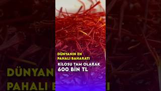 Dünyanın en pahalı baharatı, kilosu tam olarak 600 bin TL #doğa #tarımhaber