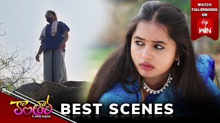 Kantara Best Scenes: 31st January 2025 Episode Highlights | Watch Full Episode on ETV Win