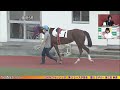 【そのだ・ひめじ競馬】そのだ金曜ナイター中継（2022 9 9）