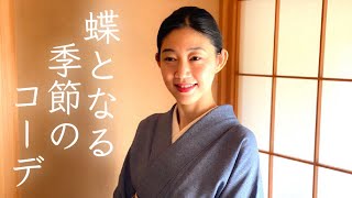 春来たる【蝶となる季節のコーデ】紅子の365日着物コーデ vol.49   -Kimono  outfit 今日のコーデ