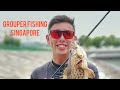 Grouper fishing ハタ釣り in Singapore Shorelines! Episode 2