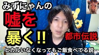 みずにゃんの嘘を暴いたかもしれない。「みずにゃん、ヒカルがいなくなってご飯が食べれなくなった説」【都市伝説】