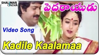Pedarayudu Movie || Kadile Kaalamaa  Video Song || Mohan Babu,Soundarya