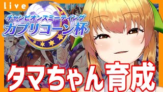 【ウマ娘 チャンミ】GからSはきついよ…　チャンピオンズミーティングカプリコーン杯オープン育成配信【Vtuber 野兎みかん】