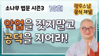 악업을 짓지말고 꾸준히 공덕을 지어라! - 광우스님의 소나무 시즌3 16회