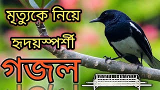 কবরের আযাব কত কঠিন । Koborer Ajab koto kothin- Bangla Islamic song I kamrul islam