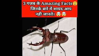 Most 3 Amazing Facts😱|Hindi Facts| #shorts #viral #youtubeshorts @souravjoshivlogs7028