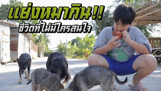 แย่งหมากิน!! ชีวิตที่ไม่มีใครสนใจ หนังสั้น | ชีต้าพาชิว