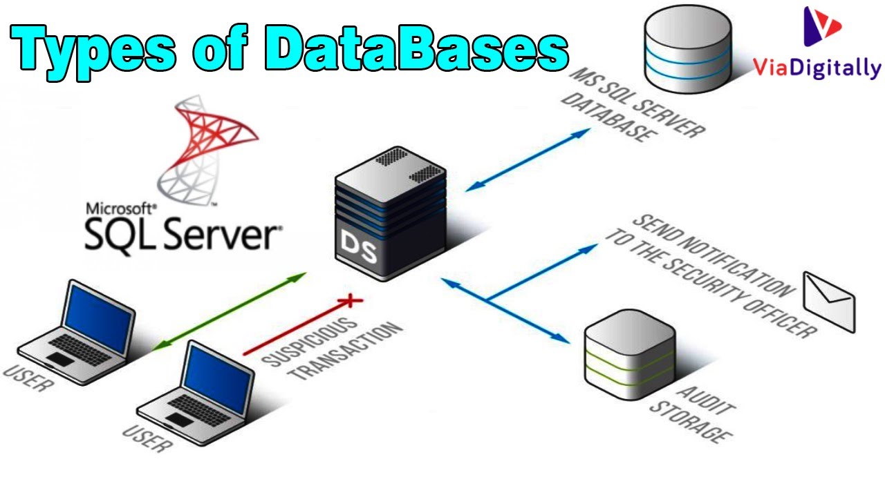 Types Of Databases In Sql Server System Databases Master Model Msdb Types Of Databases In Sql Server System Databases Master Model Msdb