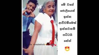 මෙ වගෙ ආච්චි කෙනෙක් හිටියනම් පට්ටනෙ