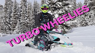 2020 Arctic Cat Alpha M8000 | Silber Turbo WHEELIES