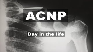 A day in the life of an ACUTE CARE NURSE PRACTITIONER