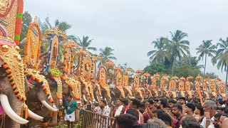 ചെമ്പൂത്ര പൂരം 2025 || Chemboothra Pooram 2025