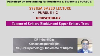 Pursue 1C (Uploaded): Uropathology- Tumour of Urinary Bladder and Upper Urinary Tract