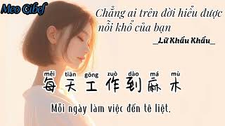 [Vietsub+Pinyin] Chẳng ai trên đời hiểu được nổi khổ của cậu. Lữ Khẩu Khẩu.世间无人懂你的苦 - 呂口口