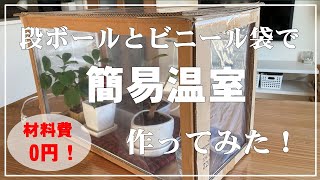 【DIY】段ボールで簡易温室作りました！製作材料費は0円！家にある物だけでビニール温室できちゃった！