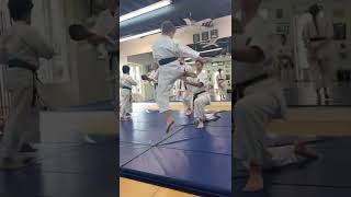 Kids Goju-Ryu Karate 🥋 | #karate #shorts