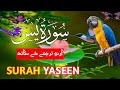 Surah Yaseen | Yasin Sharif | Surah Yaseen With Arabic text