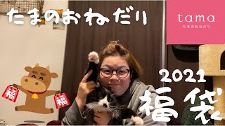 ＊2021年福袋＊猫の福箱開けたら美味しそうなのがどっさり入ってた！＊tamaのおねだり＊